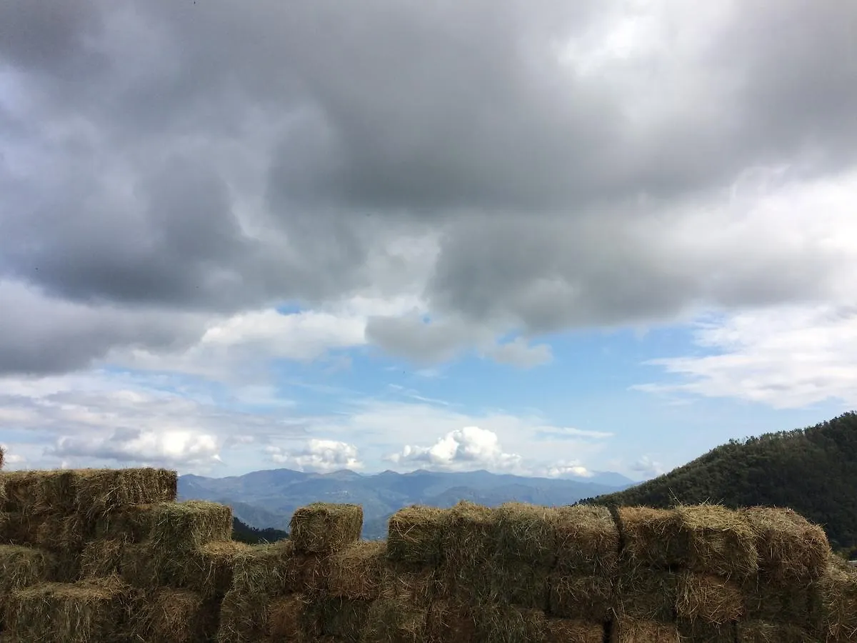 Agriturismo Degli Olivi Levanto Farm stay