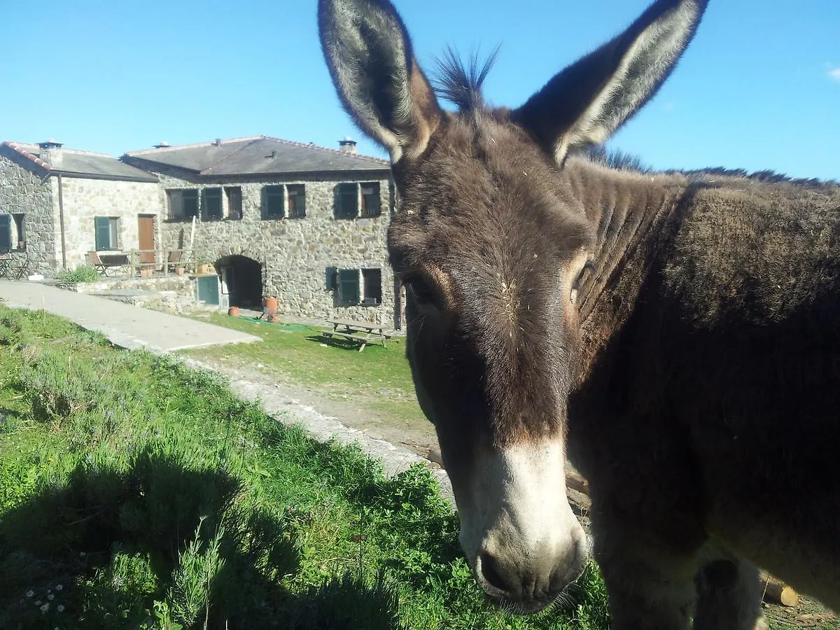 Agriturismo Degli Olivi Levanto 0*,