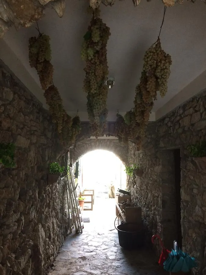 Agriturismo Degli Olivi Levanto Farm stay
