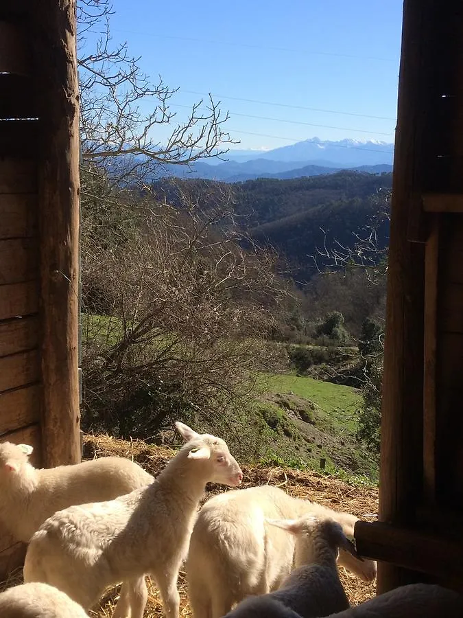 Farm stay Agriturismo Degli Olivi Levanto Italy
